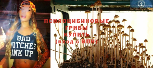 а пвп мука Армянск