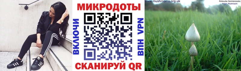 Псилоцибиновые грибы ЛСД  Туринск 